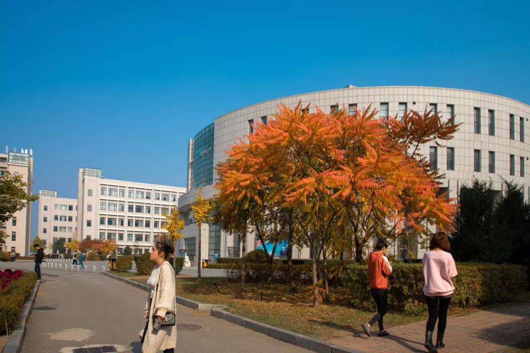 高考加油2024,高考加油2019版