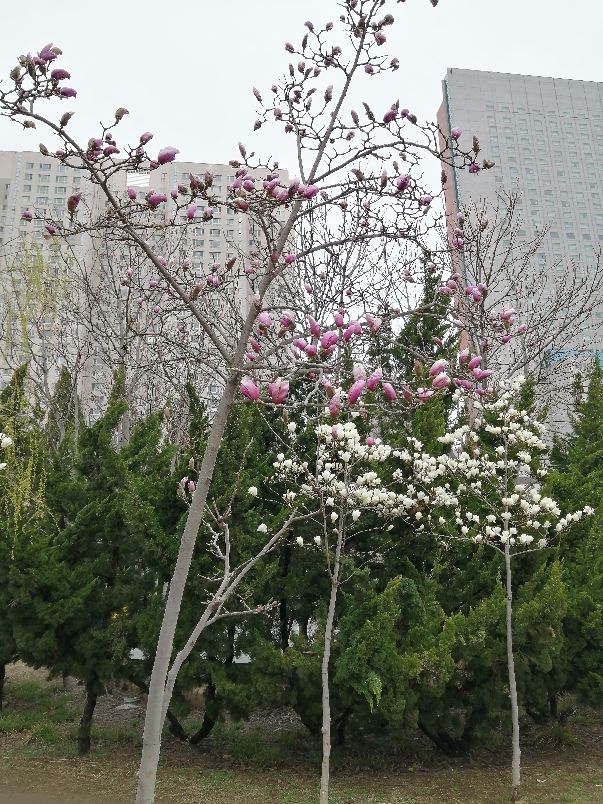 大连近郊都有哪些旅游景点,大连近郊小众景点大全