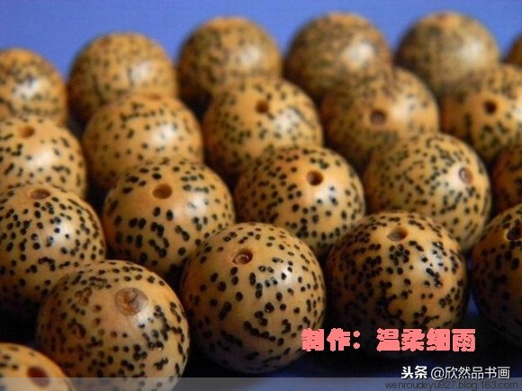 木鱼菩提子的种类全图解,菩提子手串种类图