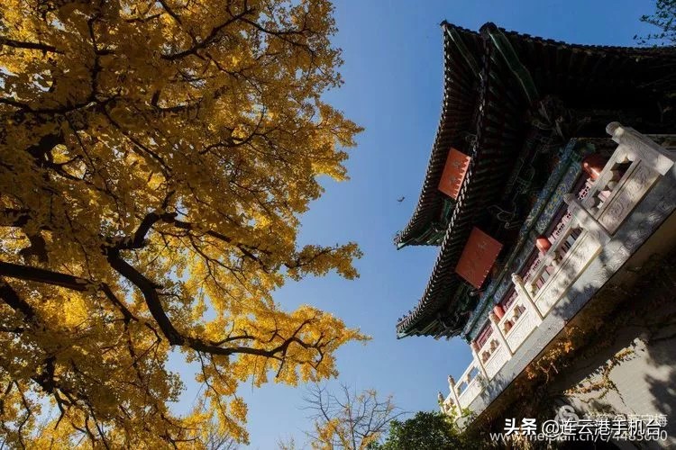 连云港赏秋最佳地点,连云港附近秋天值得去看的地方