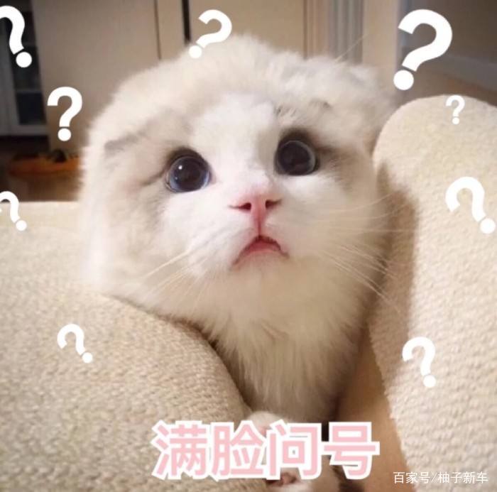 网上买车靠谱吗需要注意什么,网上买车可靠吗