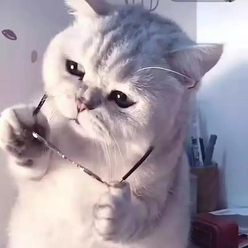 网红防晒喷雾评测,这些明星同款都是什么辣鸡?