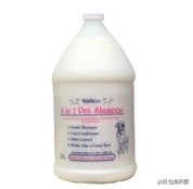 养狗狗你不知道的秘密,目前最好的宠物沐浴露