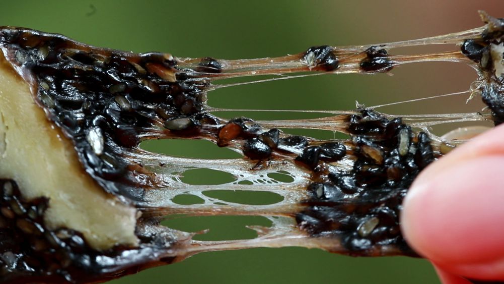 约惠春天特价会,约惠春天直销店