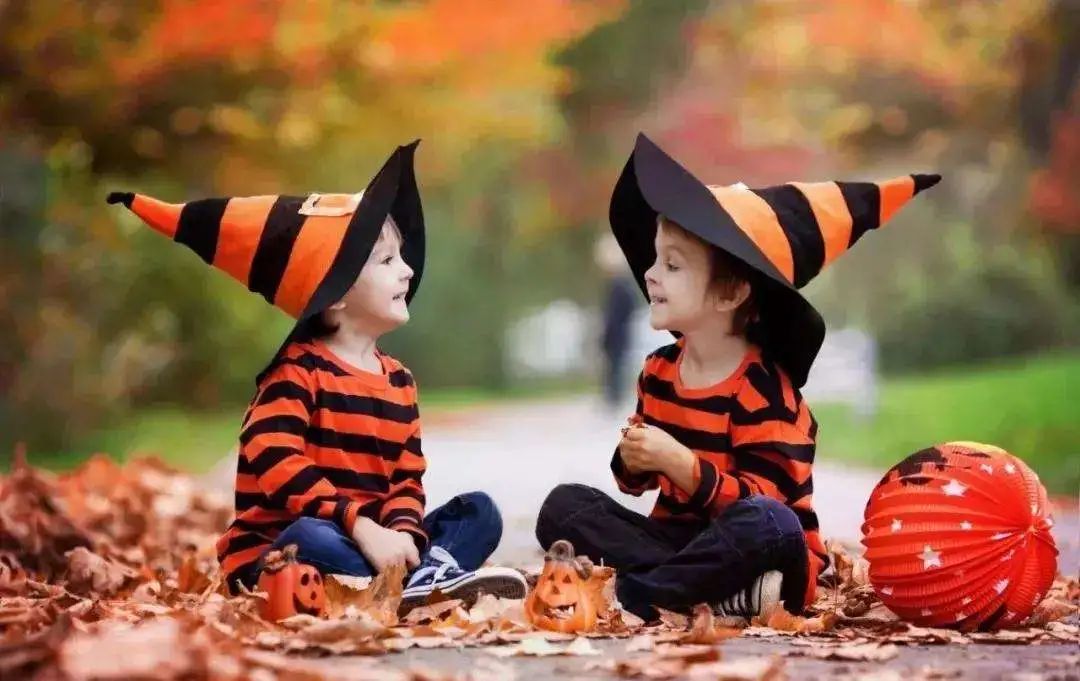 鏁欑涔﹀紡绀句氦閲戝彞,鏁欑涔﹀紡绀句氦閲戝彞瀛╁瓙