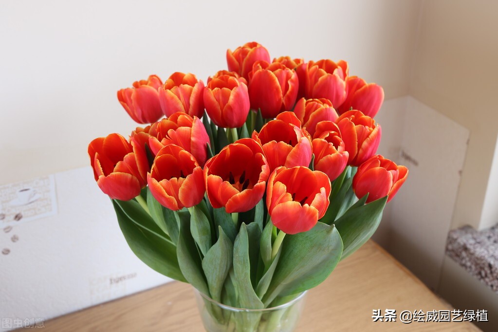 母亲节快到了送个鲜花送给妈妈,母亲节快到了送个东西送给妈妈