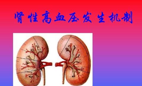 肾性高血压用药,肾不好高血压联合用药