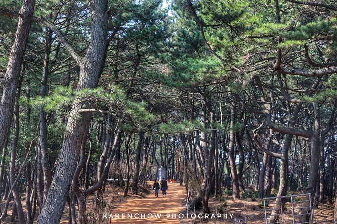 韩国安东美食,韩国釜山必游胜地