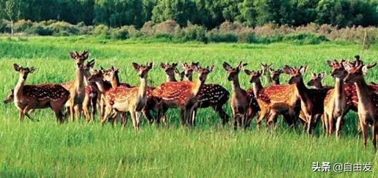 包头原来是什么样子的,包头这个地方的来历