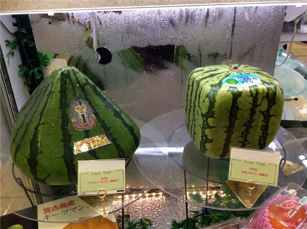 日本香蕉可以带皮吃吗,日本香蕉50元