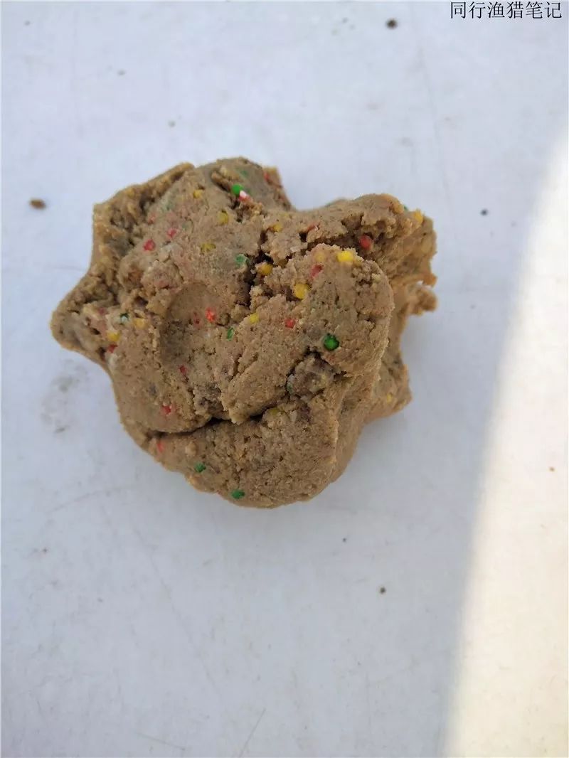 钓鱼笔记1,钓鱼笔记最新视频