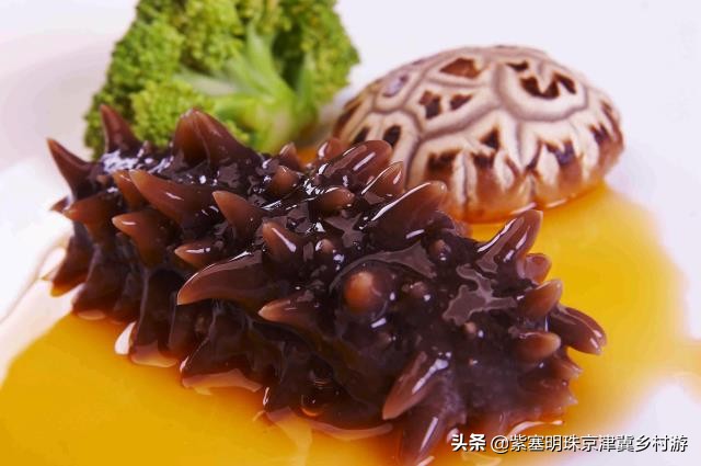 辽宁大连长海县盛茂休闲渔家，伸手就能摸到海？莫非建在海面上？