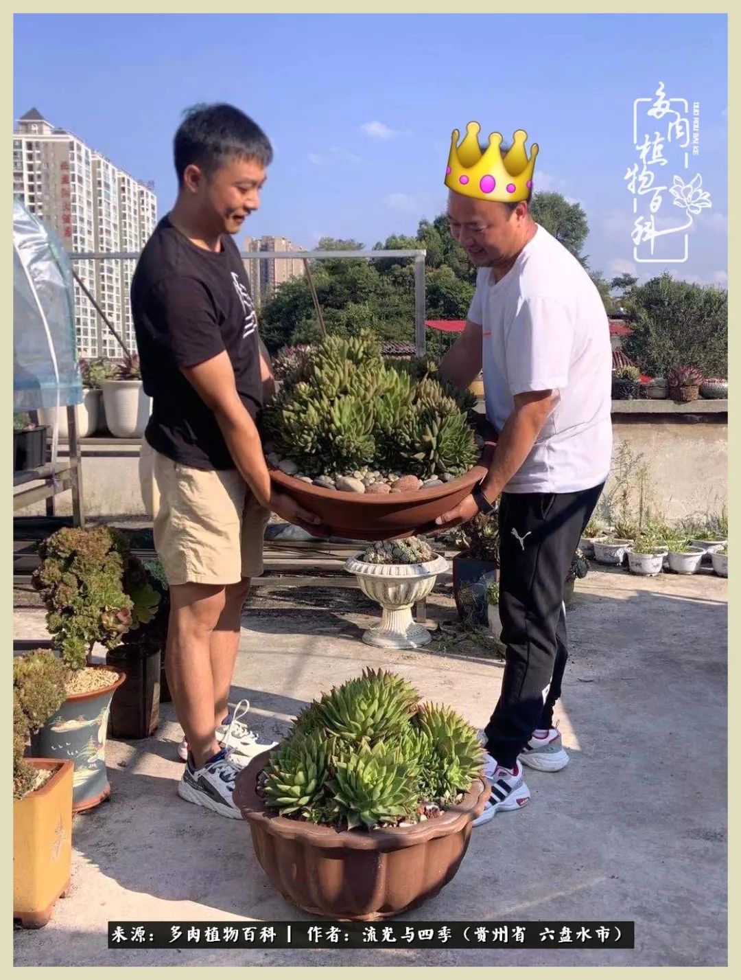 国庆假期你快乐吗?来,凉都美肉与你相伴一一小乌木的霸气东云