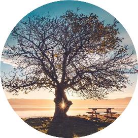 取金之路就在脚下,取金有道成就未来