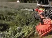 德国的认真和严谨,德国人的严谨和认真有多可怕