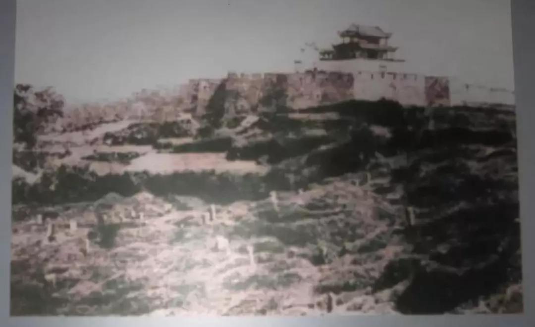 永远的骄杨——纪念杨开慧诞辰120周年