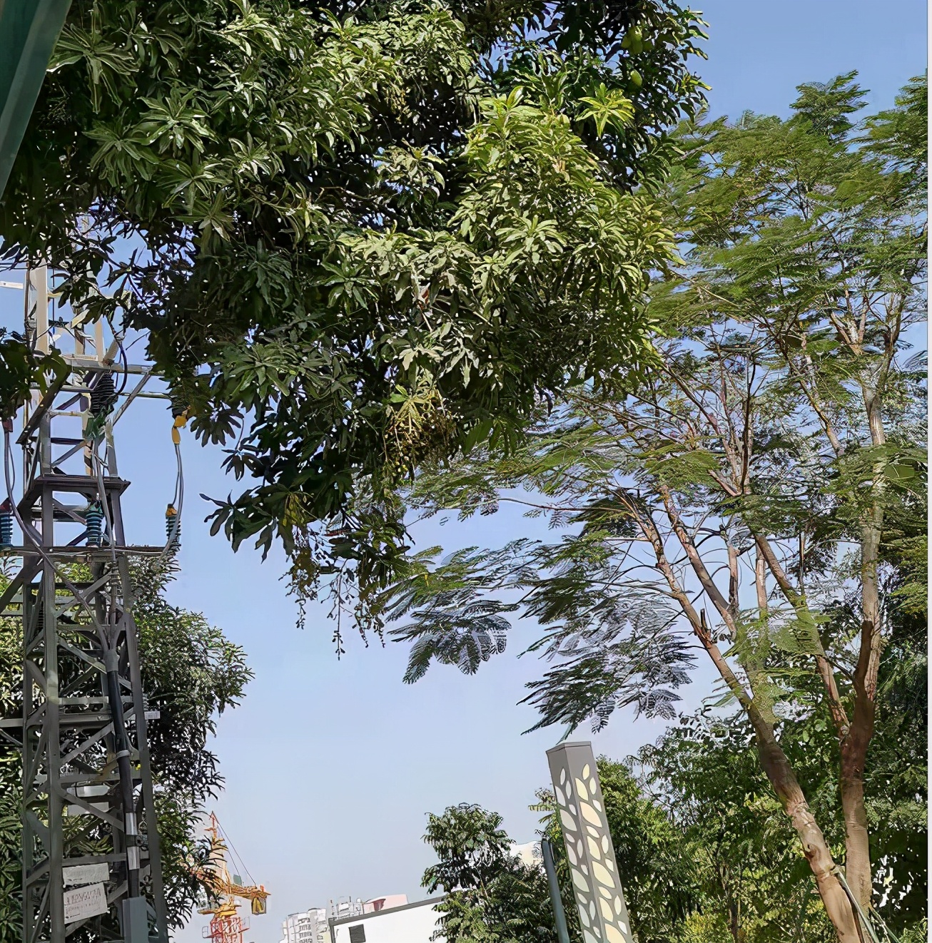 你考驾照是一种怎么样的经历,你考驾照全部一次过吗