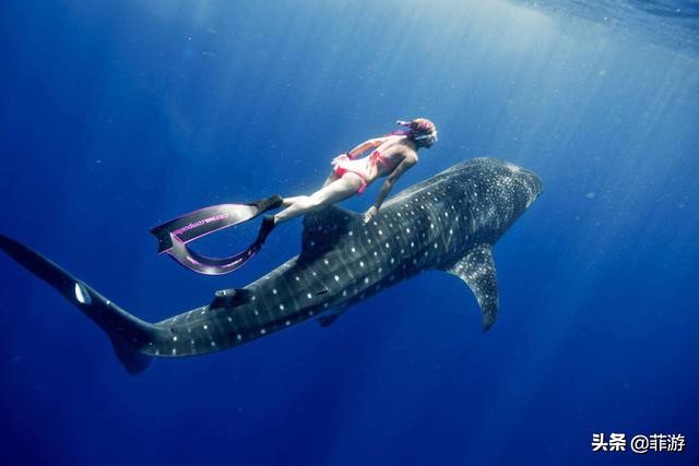 菲律宾马尼拉小马尔代夫攻略,菲律宾小马尔代夫度假村