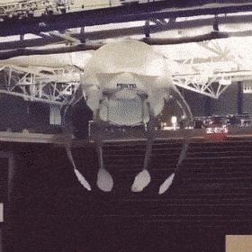 微胖渐欲迷人眼分分钟缴械投降的动态图