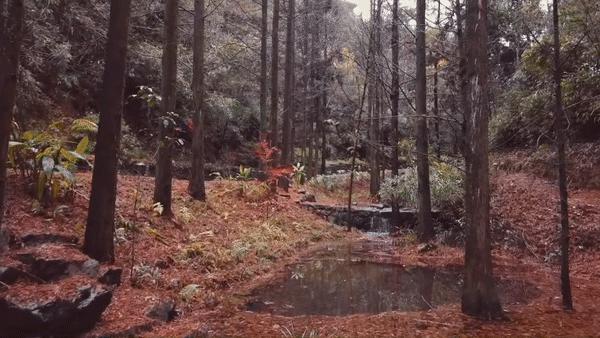 裸心谷特价房券,裸心堡特价预定