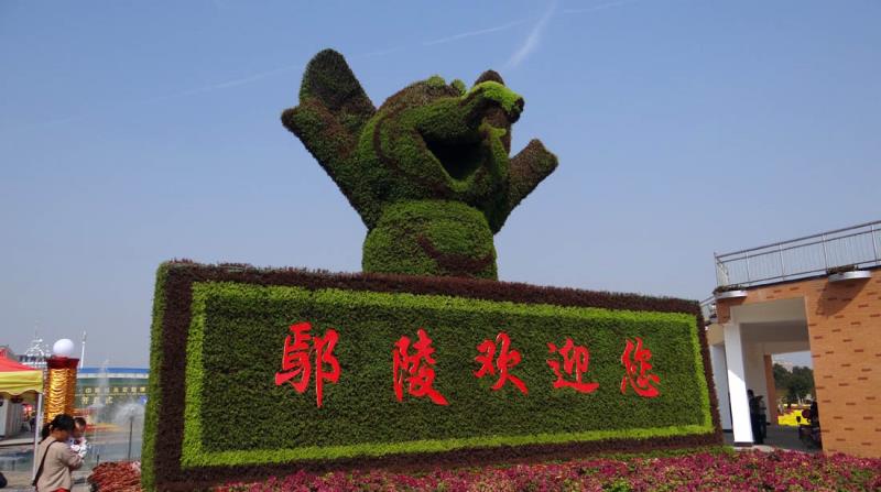 第二十届中原花木博会鄢陵,第九届中国花卉博览会倒计时