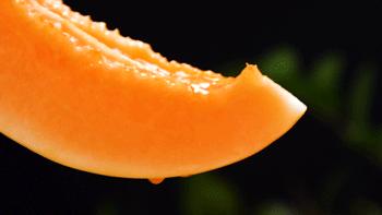 又香又甜又脆的蜜瓜,甜而不腻的蜜瓜好吃到停不下来