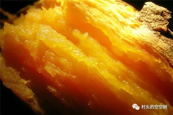 记忆中的野菜糍粑,儿时的红苕