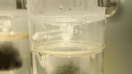 天天洗脚换袜子脚臭怎么办,为啥天天洗脚换袜子穿上鞋脚还臭