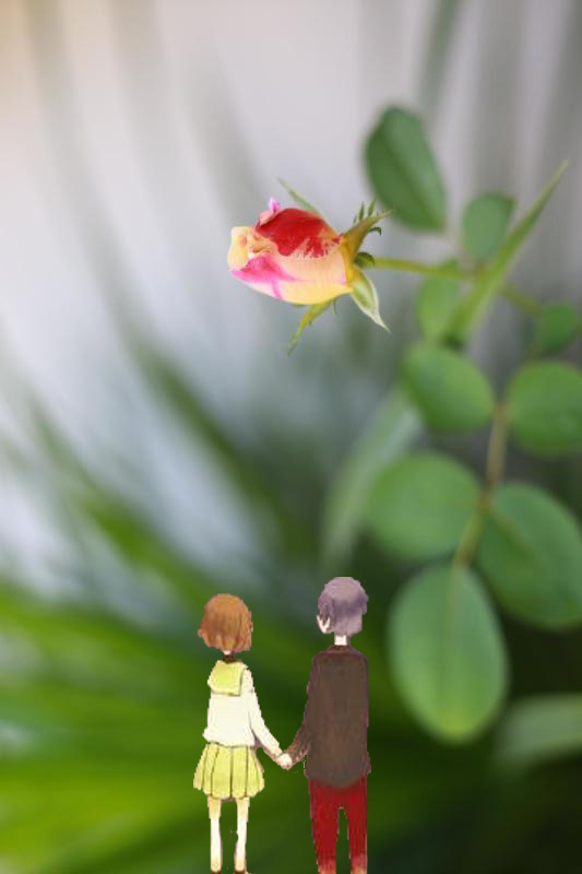 微信怎么设聊天背景,烟花聊天背景图微信