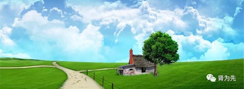 肾炎尿潜血怎么治,治尿潜血的中草药方