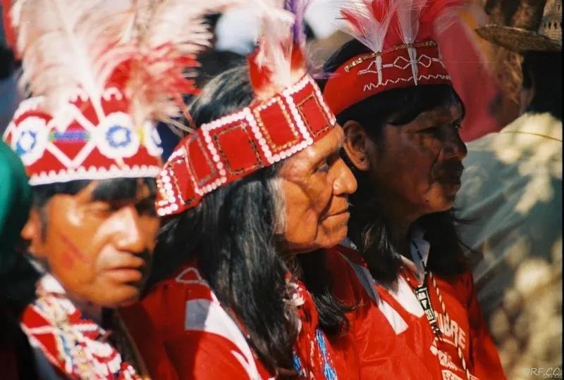 南美唯一承认“*独台**”的国家,是如何把自己作死的?