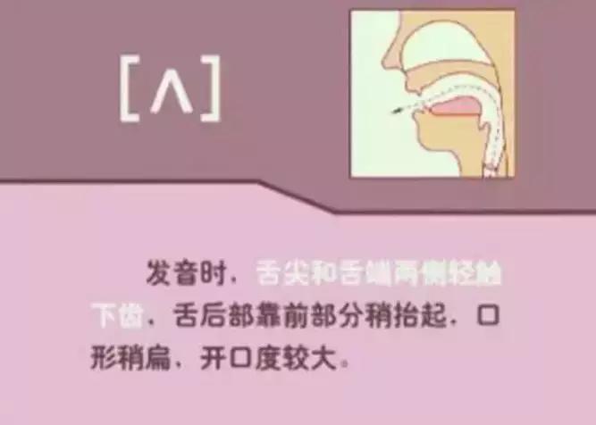 音标发音48个正确发音口型,小学英语音标发音48个口型