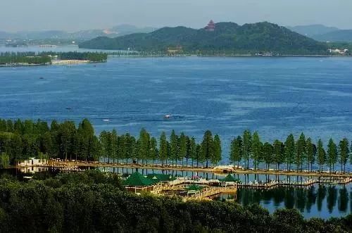 为什么武汉人喜欢广东人,为什么武汉人喜欢四川人