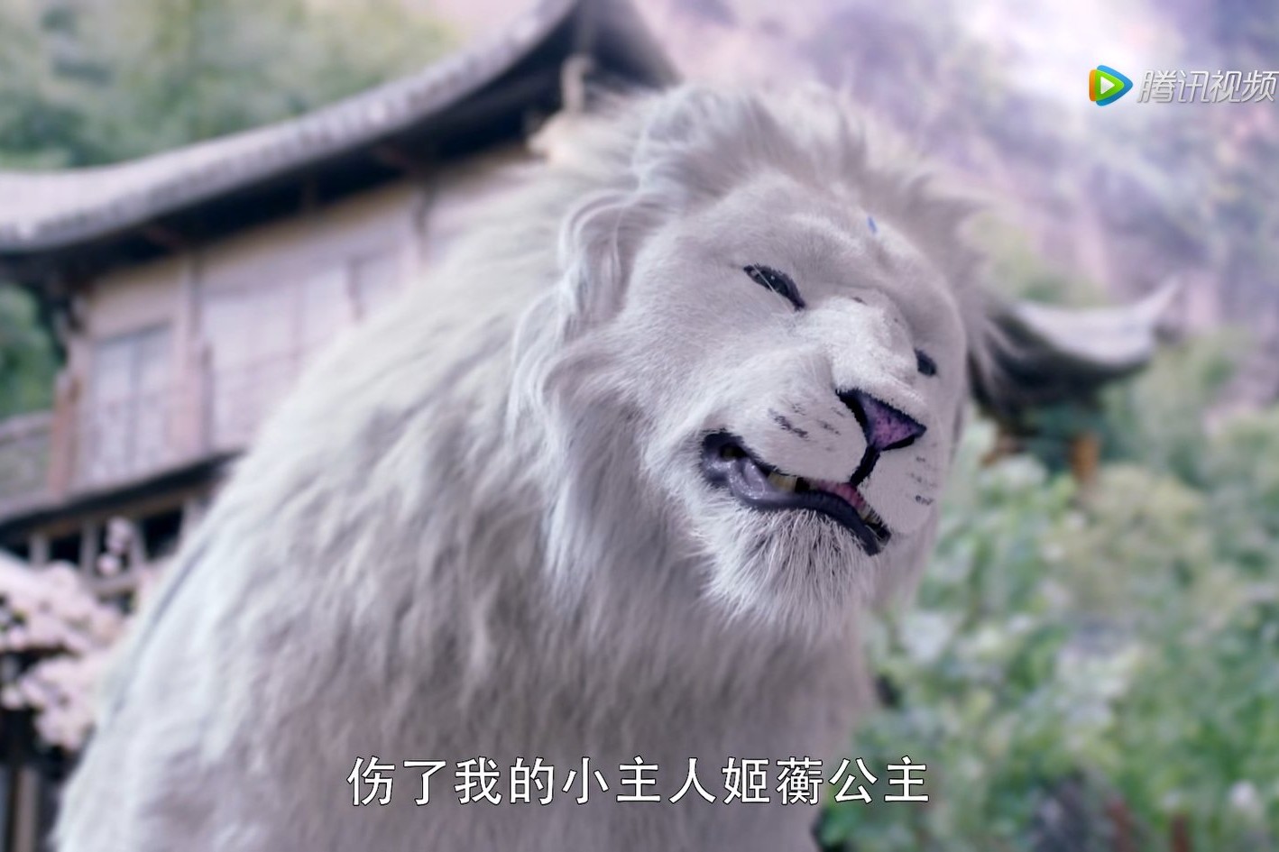 三生三世枕上书姬蘅掉入悬崖,三生三世枕上书姬衡是不是假失忆