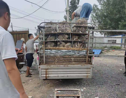 农村赚钱方法100种农村赚钱商机,怎么回乡创业赚钱