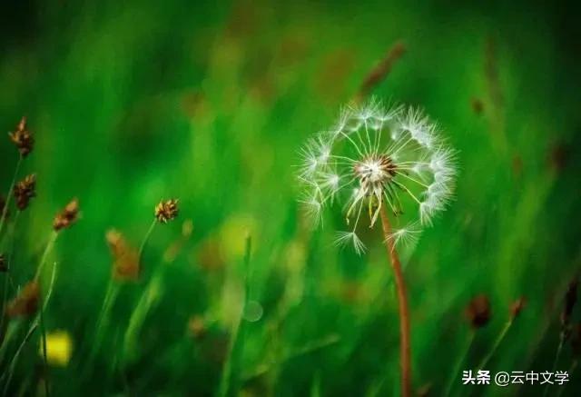 收藏100首夏日诗词带你清凉一夏,100首夏日诗词助你清凉一夏