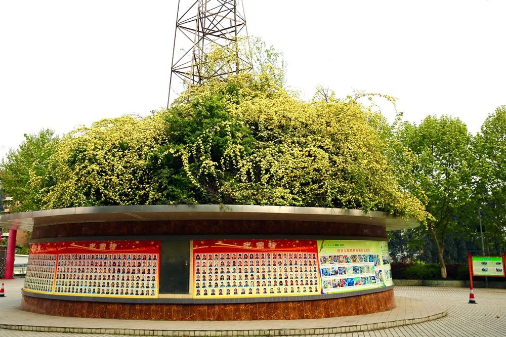 没有实验班，控制作业量！师大一中的出口成绩却一直硬核