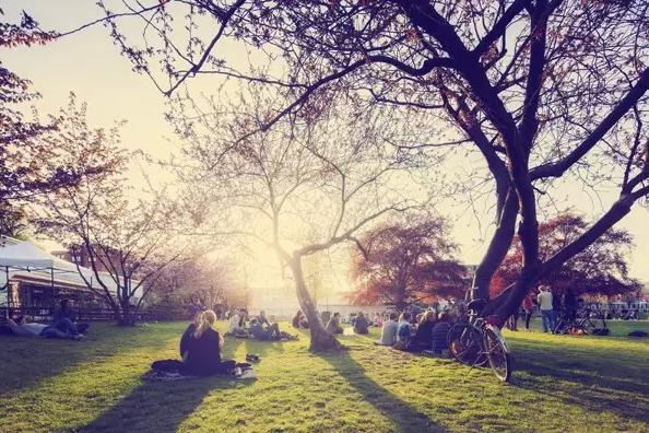 在荷兰留学需要行李吗现在,在荷兰留学是怎么样的体验