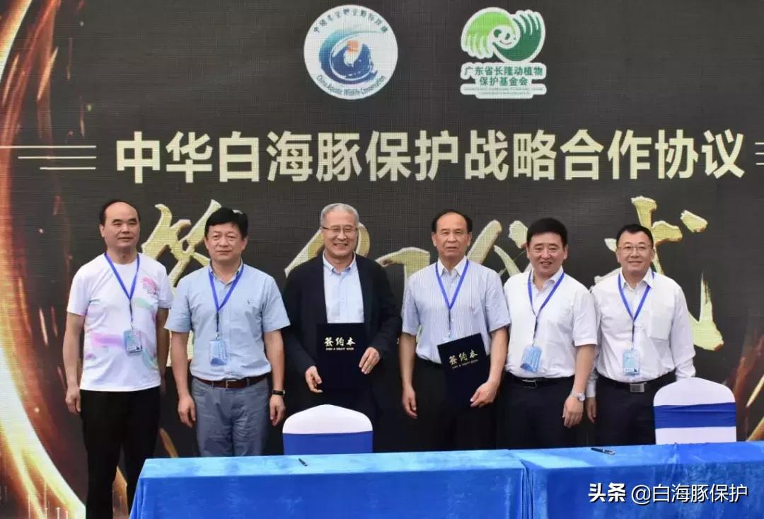 上海中华白海豚保护宣传日,中华白海豚宣传日