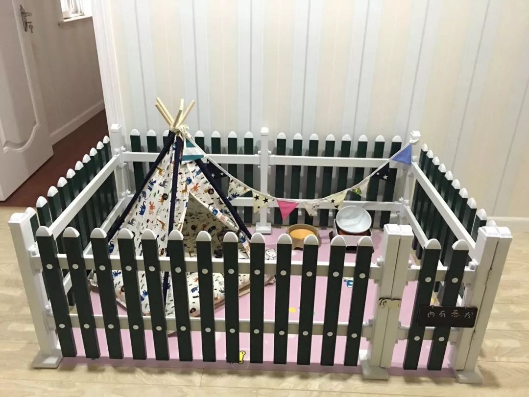 怎么训练遛狗时狗狗大小便,两个多月狗狗怎样训练大小便定点