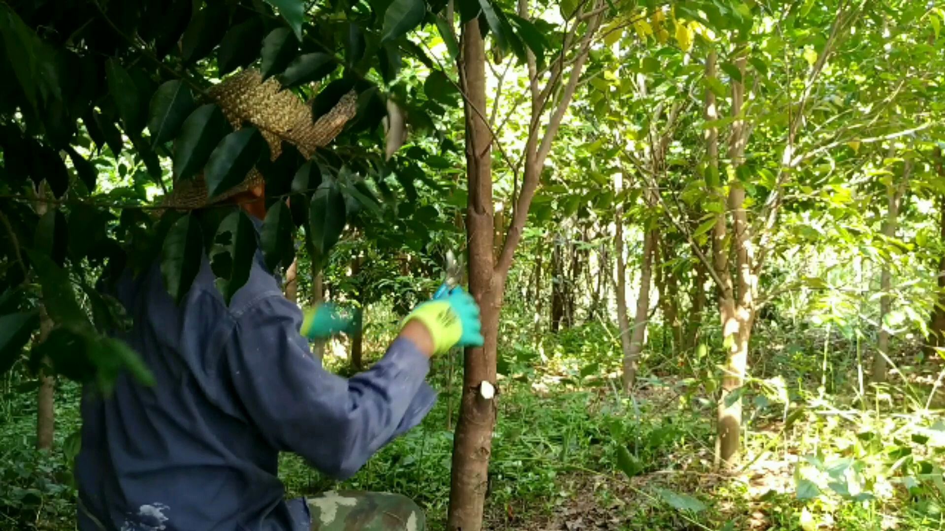 春日种下一棵阅读树,春日种下一朵花