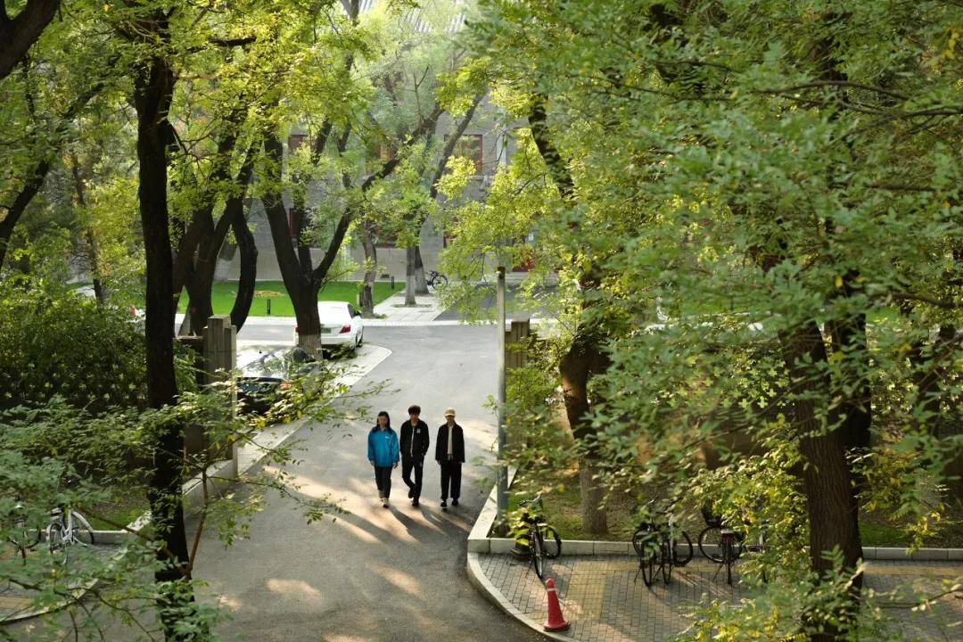 北大00后都来自哪些家庭,北大的学霸都是什么样的