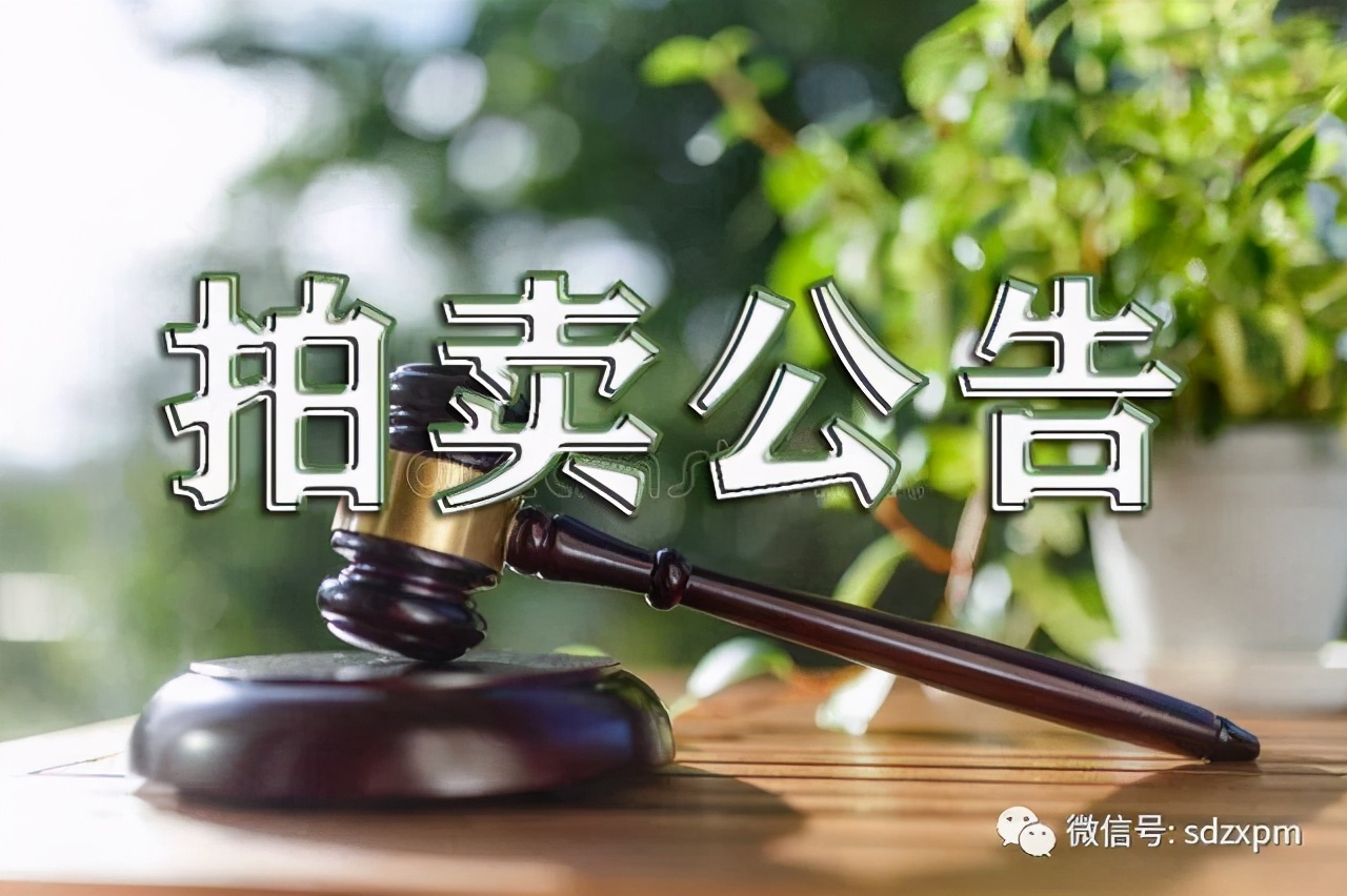 聊城巨龙新能源汽车,聊城巨龙新能源车业