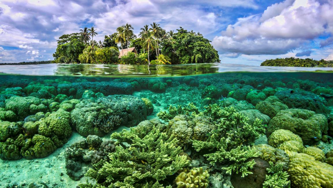 泰国四大潜水梦幻海岛,潜水游玩爱好者普吉岛