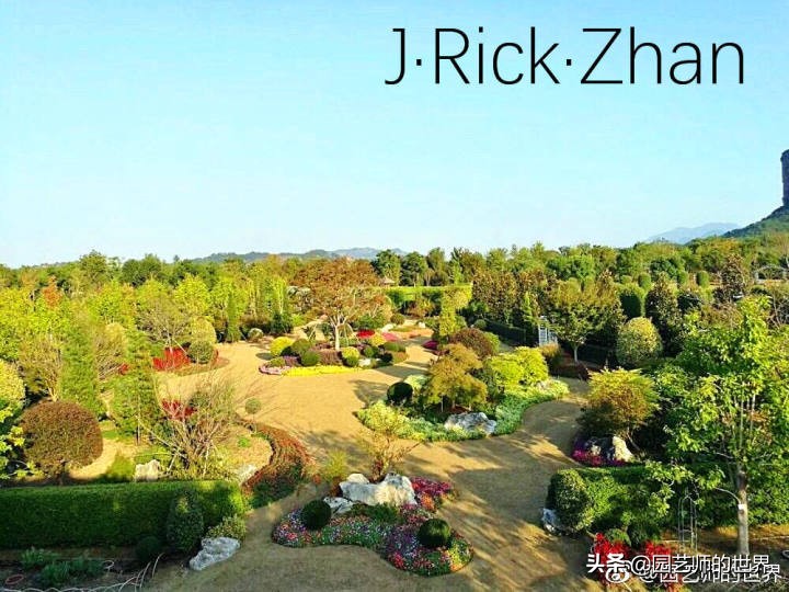 高尔夫果岭草坪家庭院子种植,麦冬草坪种植方法和注意事项