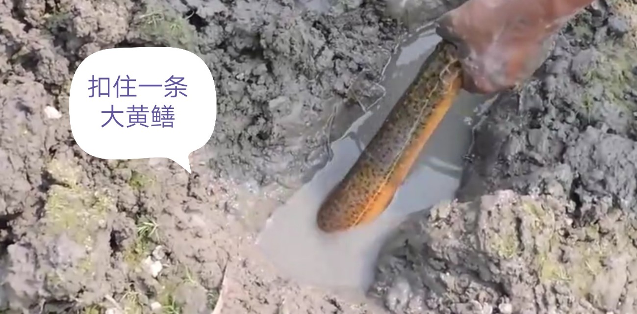 鎵ｉ粍槌濈殑鐪熷疄瑙嗛,鍦ㄥ閲屾墸榛勯碀