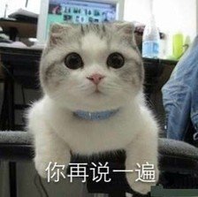 宜宾未来在四川什么位置,关于宜宾发展的看法