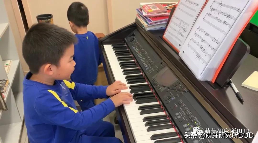 电钢琴和电子琴怎样组合,钢琴电子琴电钢琴区别