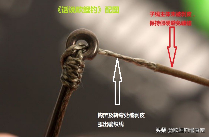 钓鱼也是一种技术,科学钓鱼的基本原理