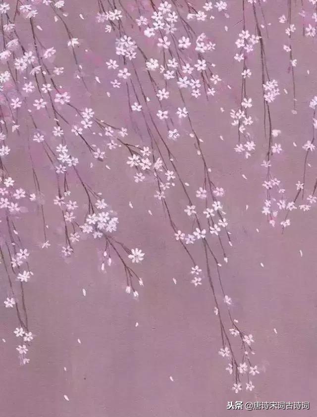 年少不懂这些诗，待到懂时已惘然